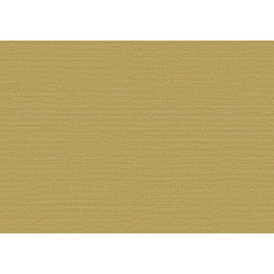 Birds of Paradise Silky BOP321