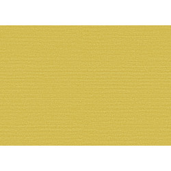 Birds of Paradise Silky BOP322