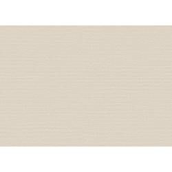 Birds of Paradise Silky BOP325