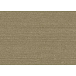 Birds of Paradise Silky BOP329