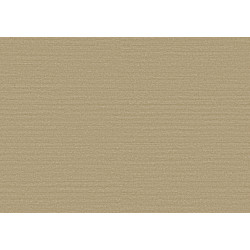 Birds of Paradise Silky BOP330