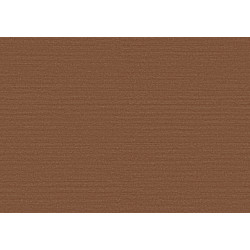 Birds of Paradise Silky BOP332