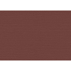 Birds of Paradise Silky BOP333