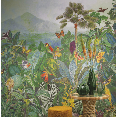 Birds of Paradise The Tropics BOP401