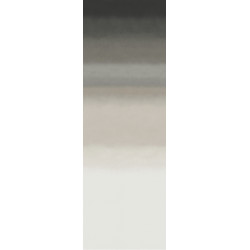 Edition Influence ED4004