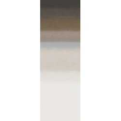 Edition Influence ED4005