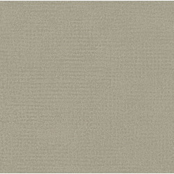 Edition Interlude ED2016