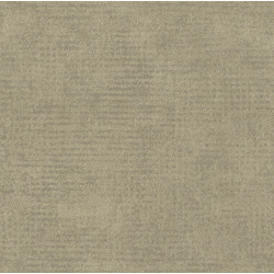 Edition Interlude ED2525