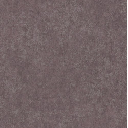 Edition Millenium ED9013