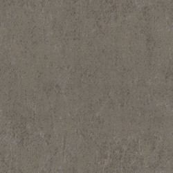 Edition Solstice ED3003