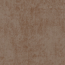 Edition Solstice ED3026