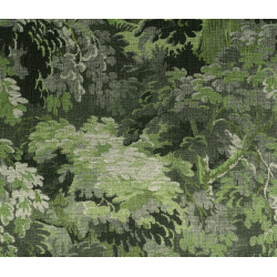 Les Forêts Dioré 48010 Grass