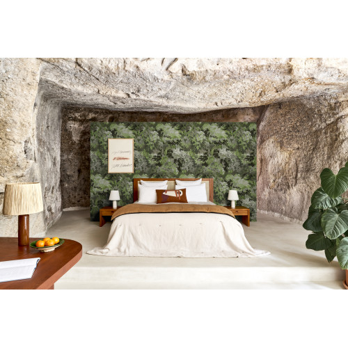 Les Forêts Dioré 48010 Grass