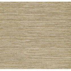 Pampas Sombra 73543 Muscade