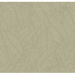 Tali Strelitzia 60740 Olive