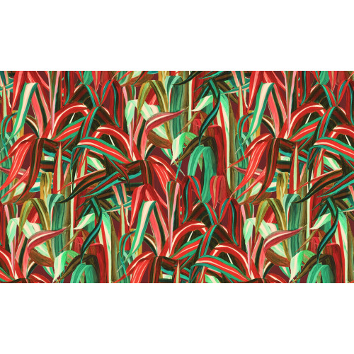 Expedition Java 72010