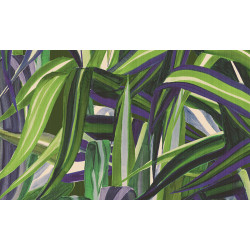 Expedition Java 72012