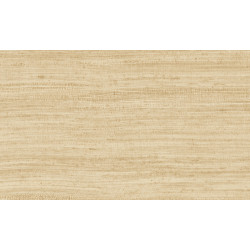 Expedition Tasar 72024