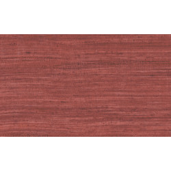 Expedition Tasar 72030