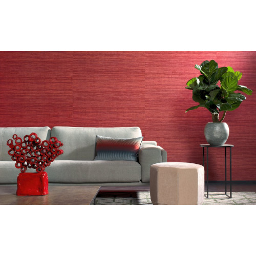 Expedition Tasar 72030