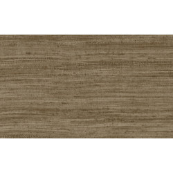 Expedition Tasar 72037