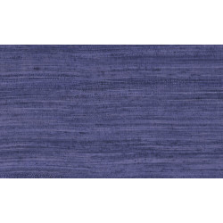 Expedition Tasar 72038