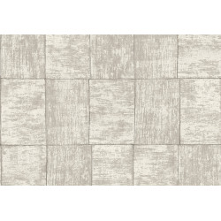 Cabane Medinilla 20935