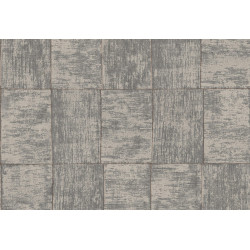 Cabane Medinilla 20936