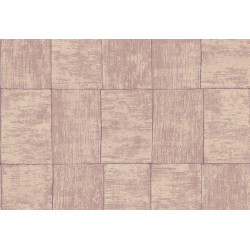 Cabane Medinilla 20937