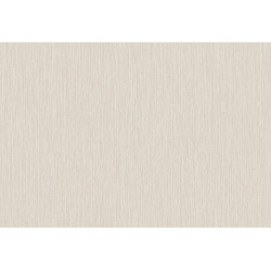 Cabane Yucca Plain 20940