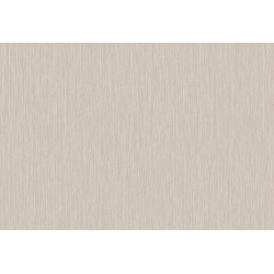 Cabane Yucca Plain 20941