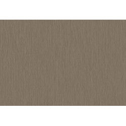 Cabane Yucca Plain 20943