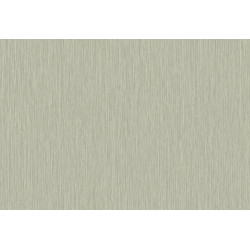 Cabane Yucca Plain 20944