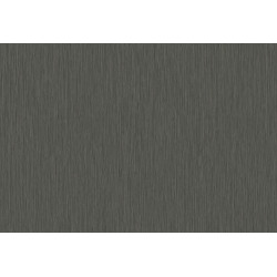 Cabane Yucca Plain 20946