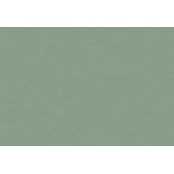 Silhouette Tadelakt Plain 34812