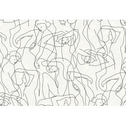 Silhouette Model Lines 34845