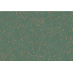 Silhouette Model Lines 34847