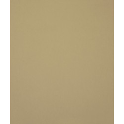 Young Traditionals Muro 27850