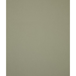 Young Traditionals Muro 27851