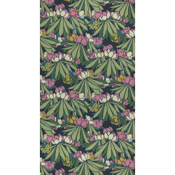 Young Traditionals Rhododendron 27825