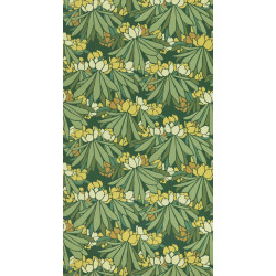 Young Traditionals Rhododendron 27826