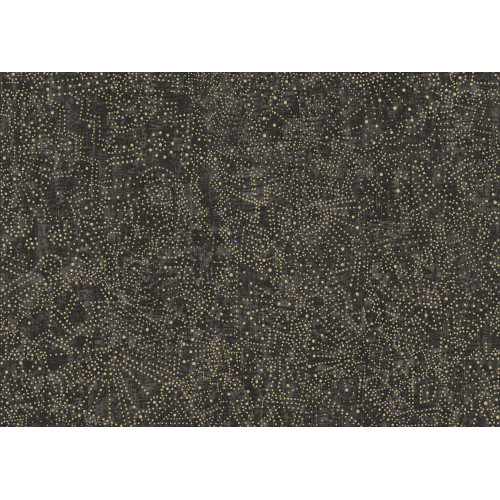 Kharga Gobi 74030 Starry Black