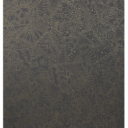 Kharga Gobi 74030 Starry Black