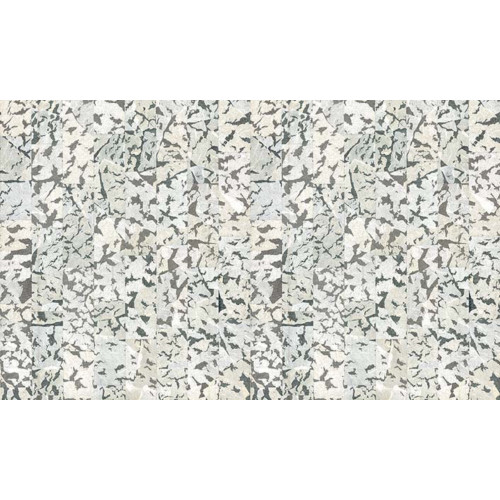 Moooi Wallcoverings Extinct Animals Armoured Boar MO2111 Black/White