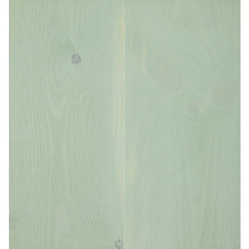 Rubio Monocoat DuroGrit Salt Lake Green 1L