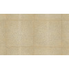 Icons Shagreen 85520 Sand