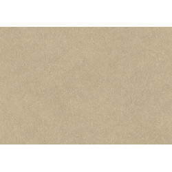 Tahiti Leather Plain TA25021