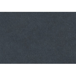 Tahiti Leather Plain TA25027