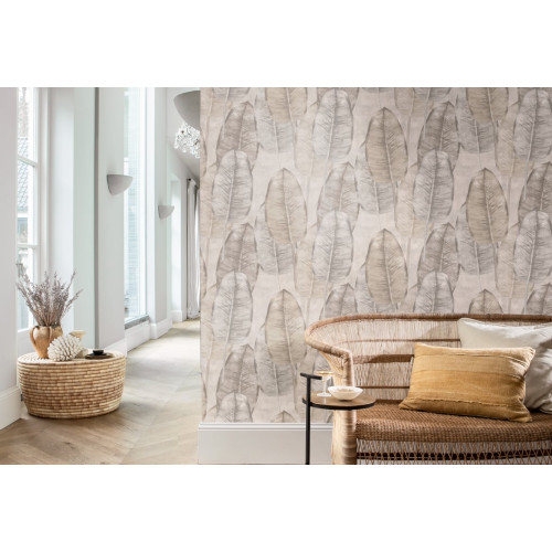 Tahiti Rubber Tree TA25080