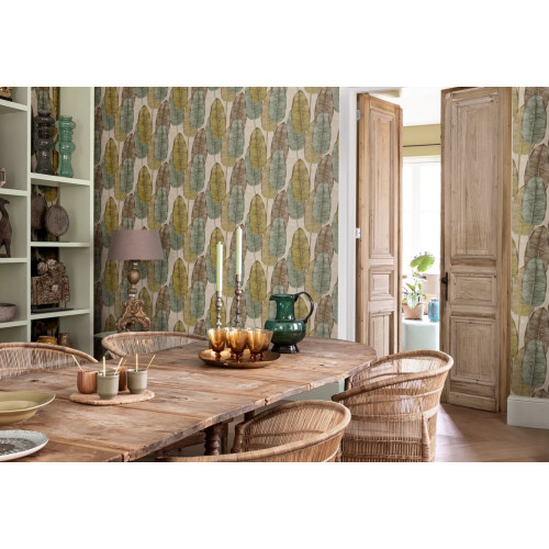 Tahiti Rubber Tree TA25081